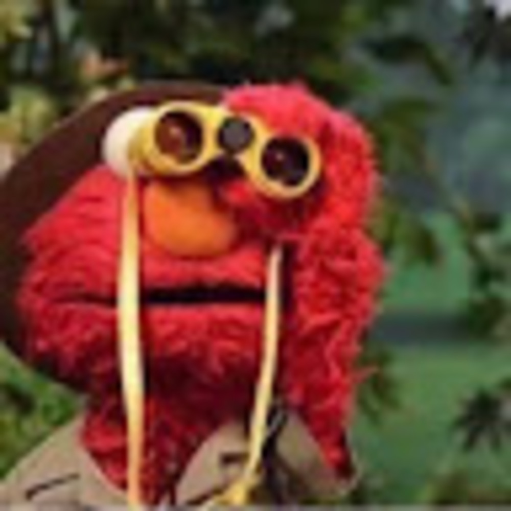 Meet your Posher, Ammon